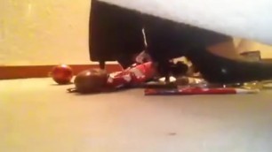 Candid Video 3-More Toys Crushed under High Heels. Awesome Sound